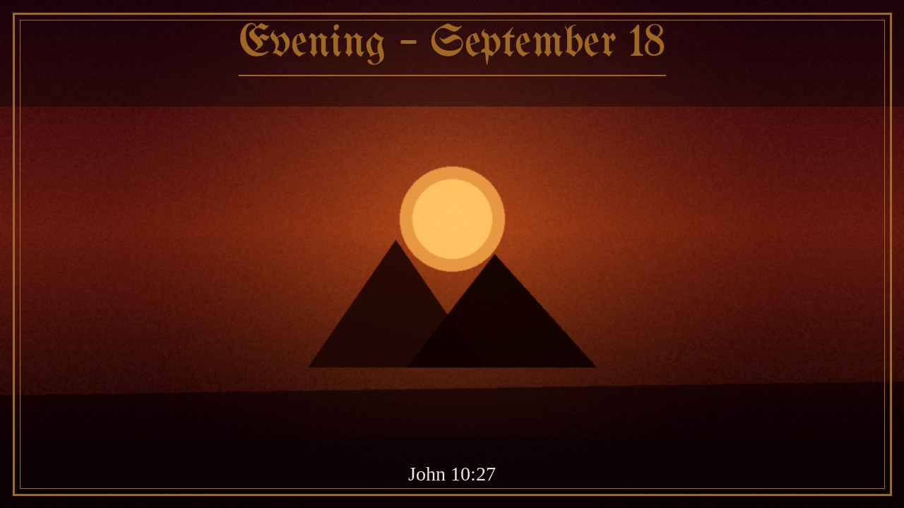 Sheep following a shepherd silhouette into gold dusk hills, Evening September 18