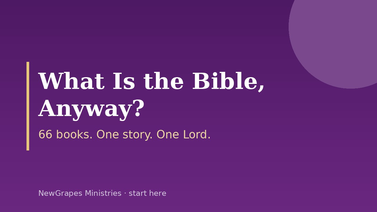 What Is the Bible, Anyway? — title card