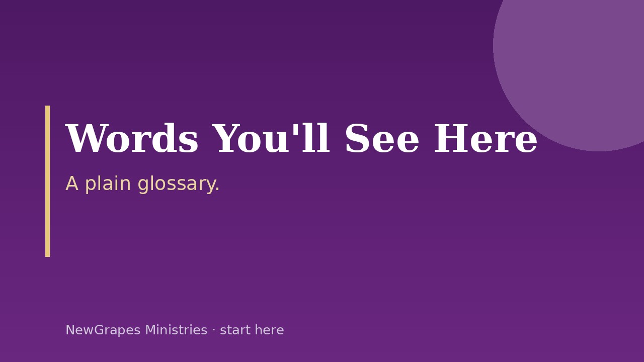 Words You'll See Here — title card